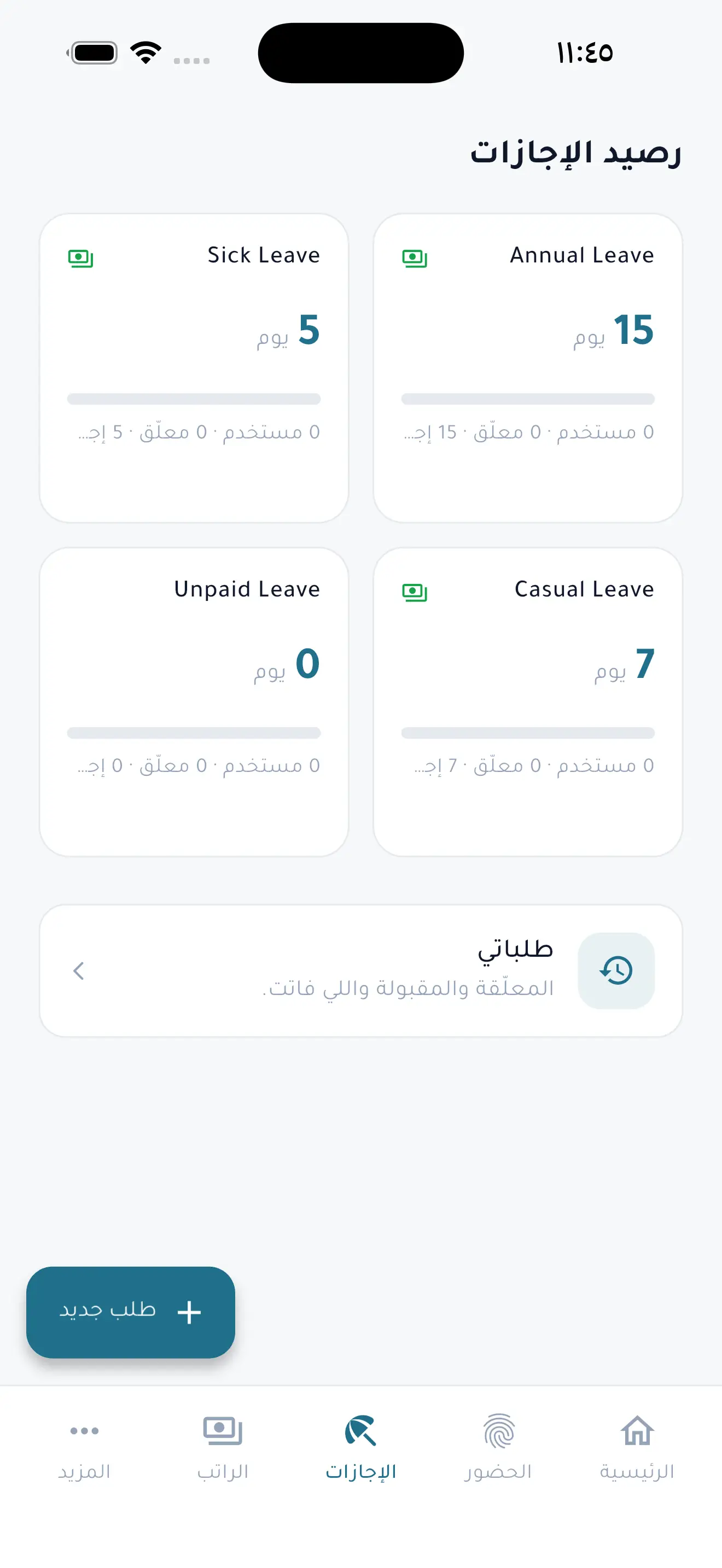 Holiday and leave balance
